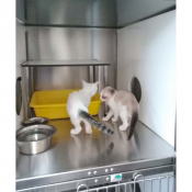 Perchoir pour chats pour cages