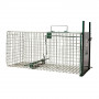 Cage à rats une entrée