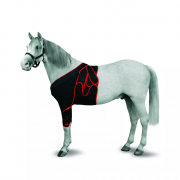 Bandage frontal KRUUSE pour chevaux - 3 tailles