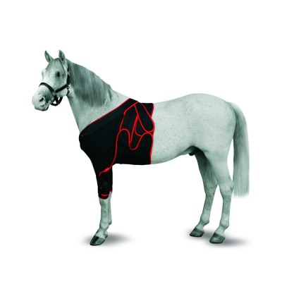 Bandage frontal KRUUSE pour chevaux - 3 tailles