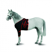 Bandage frontal pour chevaux - 3 tailles