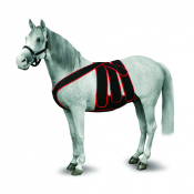 Kit de chirurgie post-colique pour chevaux