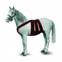 Kit de chirurgie post-colique pour chevaux