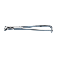 Pince à castration KRUUSE Sands 31 cm Pince à castration KRUUSE Sands 31 cm
