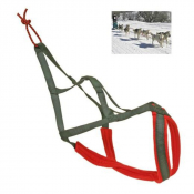 Harnais pour chiens de traineaux - 6 tailles