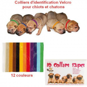 Colliers d’identification Velcro pour chiots et chatons