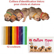 Colliers d’identification Velcro pour chiots et chatons