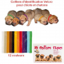 Colliers d’identification Velcro pour chiots et chatons