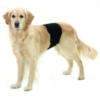 Slip d’incontinence pour chiens mâles – Hygiène, confort et maintien pour les petites pertes urinair