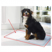 Tapis de propreté pour chiens