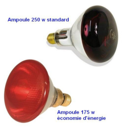 Ampoule infrarouge pour mise bas des chiots et chatons  - 2 modèles