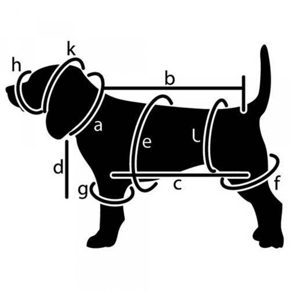 Tee-shirt post opératoire pour chiens mâles sur