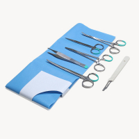 Kit Chirurgical A Stérile Jetable – Instruments Acier – Traitement Plaies et Lésions Kit Chirurgical A Stérile Jetable – Instruments Acier – Traitement Plaies et Lésions