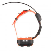 Collier CANICOM GPS 2 Supplémentaire – Localisation 15 km – Éducation Longue Portée