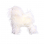 /autres-materiels-de-toilettage/fourrure-blanche-pour-mannequin-de-chien-p-4003419.1-600x600.jpg