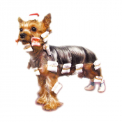 Papillotes pour chiens 