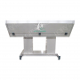 Baignoire professionnelle Giada pour grands chiens - Profondeur 38 cm