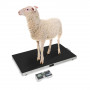 /balances-veterinaires/balance-mobile-veterinaire-plateforme-en-inox-de-0-05-a-150-kg-sur-roulettes-version-non-filaire-p-4004503.5-600x600.jpg