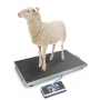 /balances-veterinaires/balance-mobile-veterinaire-plateforme-en-inox-de-0-05-kg-a-150-kg-sur-roulettes-version-filaire-p-4001877.2-600x600.jpg