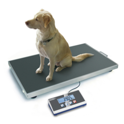 Balance vétérinaire plateforme en inox de 0,1 kg à 300 kg