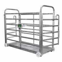Balance vétérinaire pour animaux jusqu'à 1500 kg