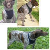 Bandage post chirurgical et plaies au poitrail pour les chiens de 4 à 7 kg