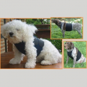 Bandage post chirurgical pour chiens - 2 tailles