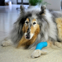 /bandages-/bandages-conformes-cohesifs-auto-adhesifs-maintien-fiable-2-tailles-p-4001253.1-600x600.jpg