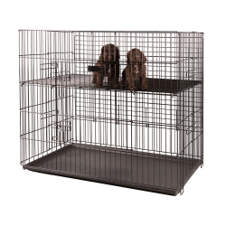 Cage d'exposition pour chiots