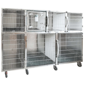 Cage hospitalisation vétérinaire