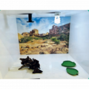 Lampe UV pour cage d'hospitalisation pour animaux exotiques