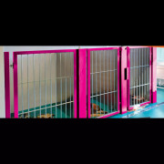 Box d'attente modulaires