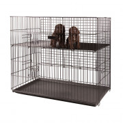Cage d'exposition pour chiots