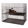 /cage-interieur/cage-d-exposition-pour-chiots-p-4003717.1-600x600.jpg