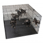 /cage-interieur/cage-d-exposition-pour-chiots-p-4003717.2-600x600.jpg