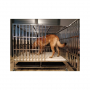 /cage-interieur/cage-d-interieur-pliante-sur-roues-en-inox-sus-304-108-x-70-x-90-cm-p-4004024.1-600x600.jpg