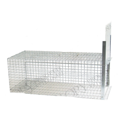 Cage piège pour animaux