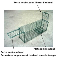 Trappe de capture à porte basculante pour chiens, chats et animaux errants – Robuste, sécurisée et é