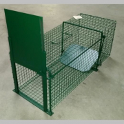 Trappes de capture pour chats, petits chiens et animaux errants – Efficaces, robustes et accessibles