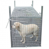 Grande trappe de capture pour animaux errants à 2 portes 