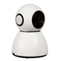 Caméra de surveillance Pet Vision Live HD Caméra de surveillance Pet Vision Live HD