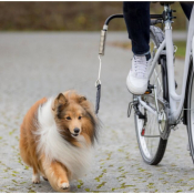 Biker-set en forme de L pour chiens