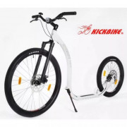 Cani-trottinette Fix  