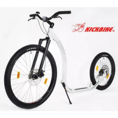 Cani-trottinette Fix  