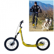 Cani-trottinette PRO CROSS WILD