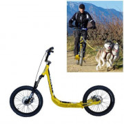 Cani-trottinette PRO CROSS WILD