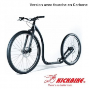 Cani-trottinettes 29 ER avec fourche en carbone