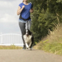 /canicross-jogging/ceinture-de-randonnee-avec-laisse-p-4002615.1-600x600.jpg
