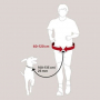 /canicross-jogging/ceinture-ventrale-avec-laisse-integree-p-4002585.1-600x600.jpg