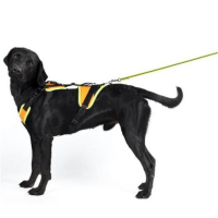 Harnais Mantraling Julius K9 pour pistage et sports de traction canins Harnais Mantraling Julius K9 pour pistage et sports de traction canins
